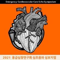 2021 심초음파 심포지움